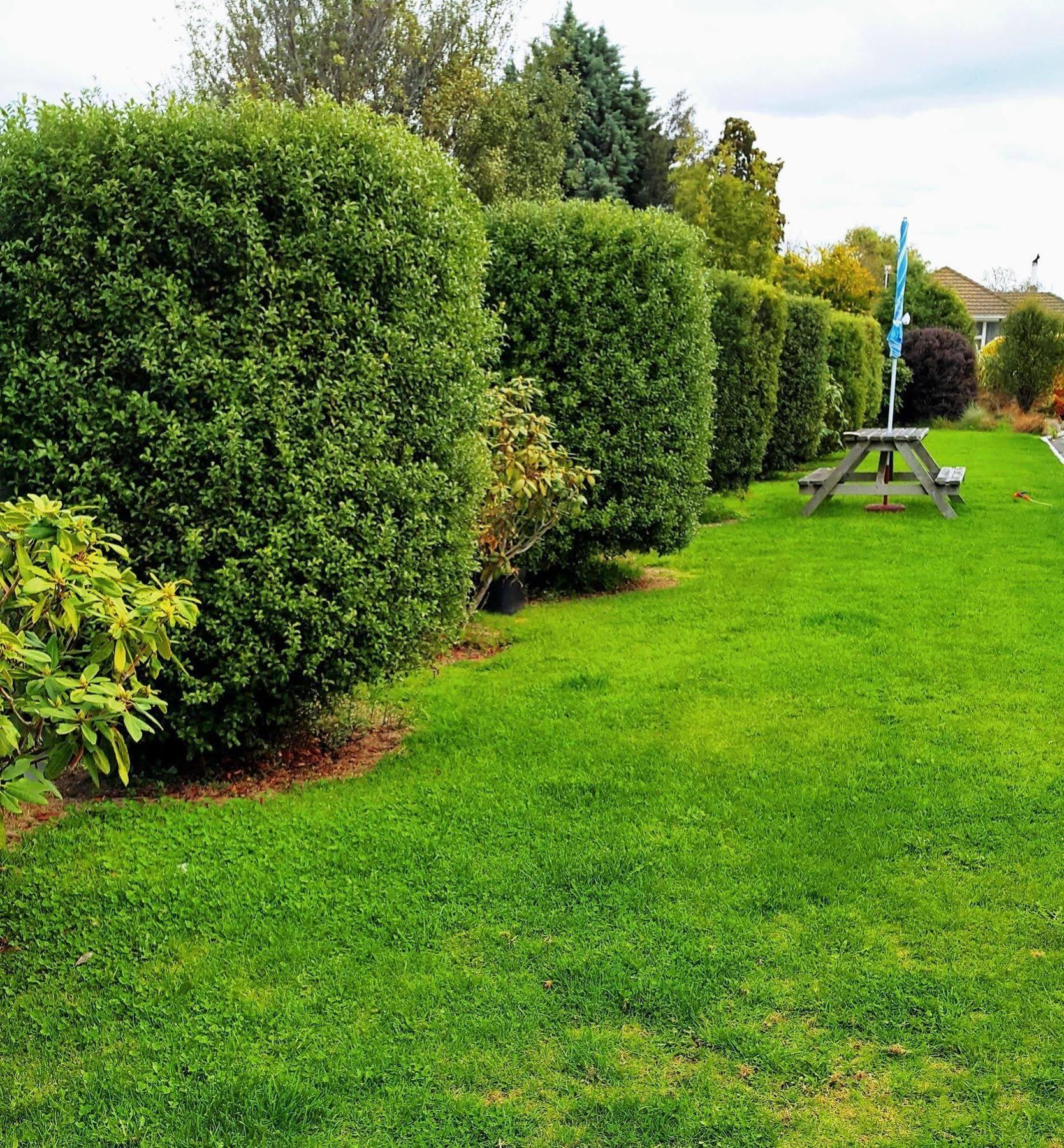 Lilybrook Motel Rangiora Dış mekan fotoğraf