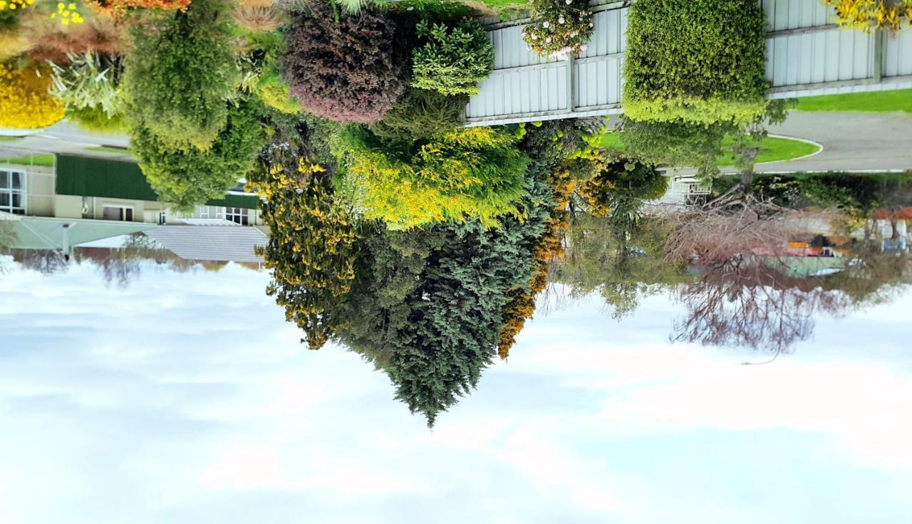 Lilybrook Motel Rangiora Dış mekan fotoğraf